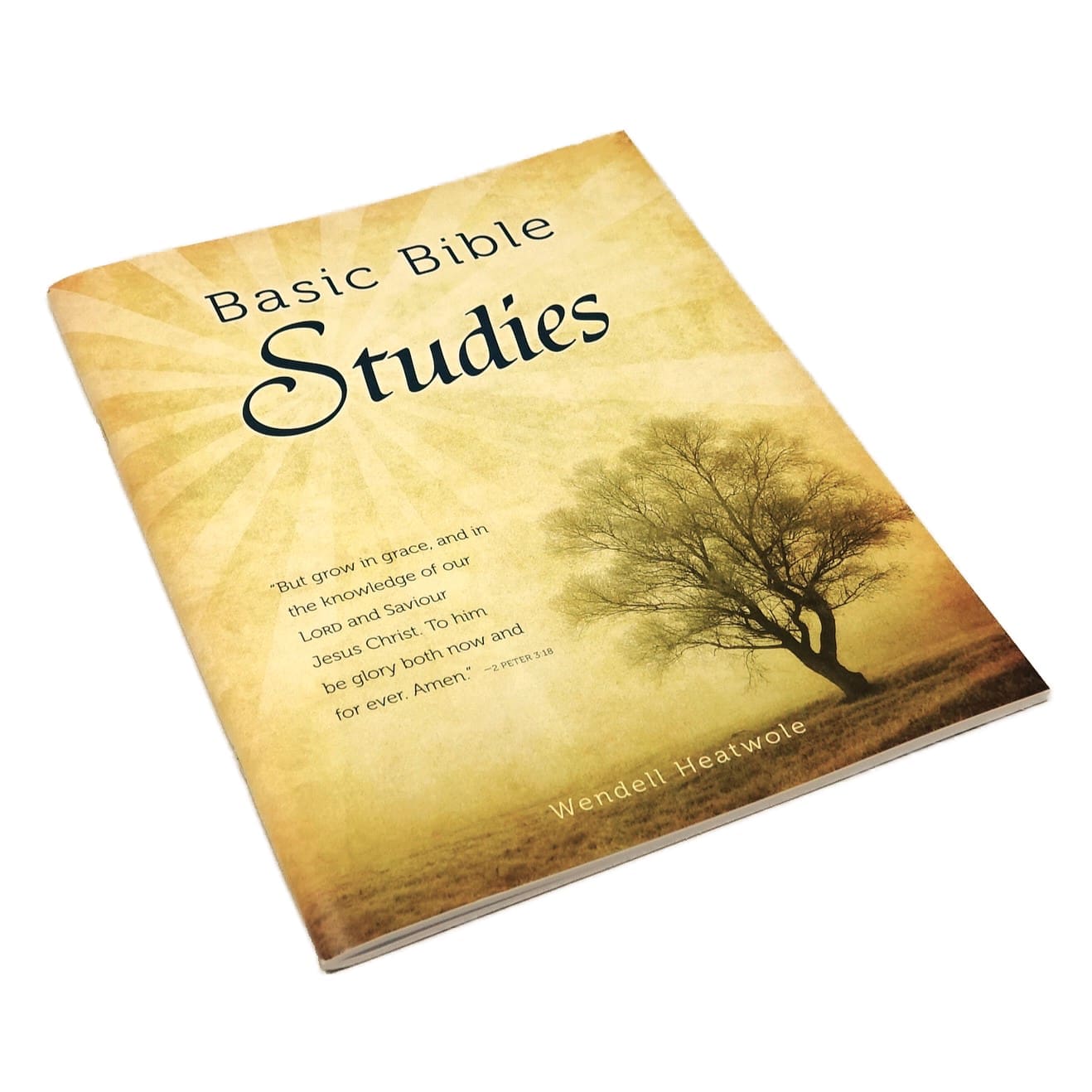 Basic Bible Studies
