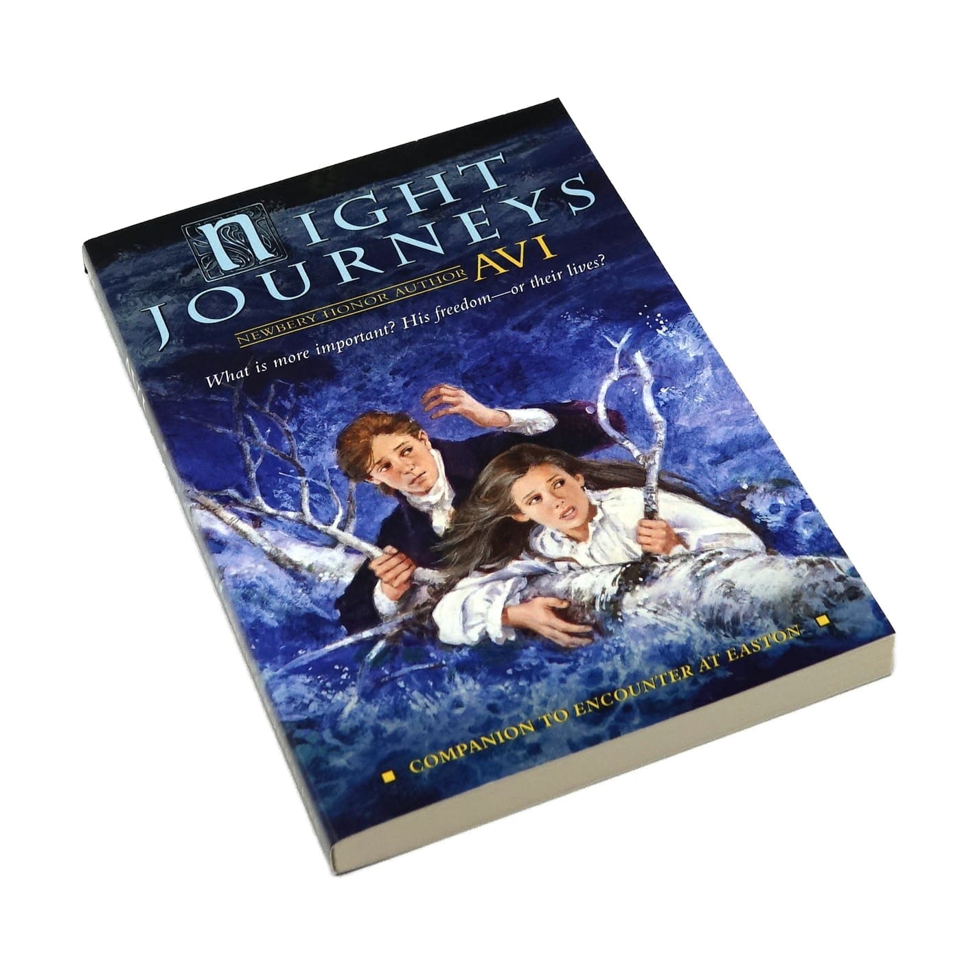 Night Journeys