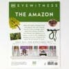 The Amazon - Image 2