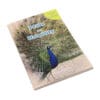 Pride and Humility