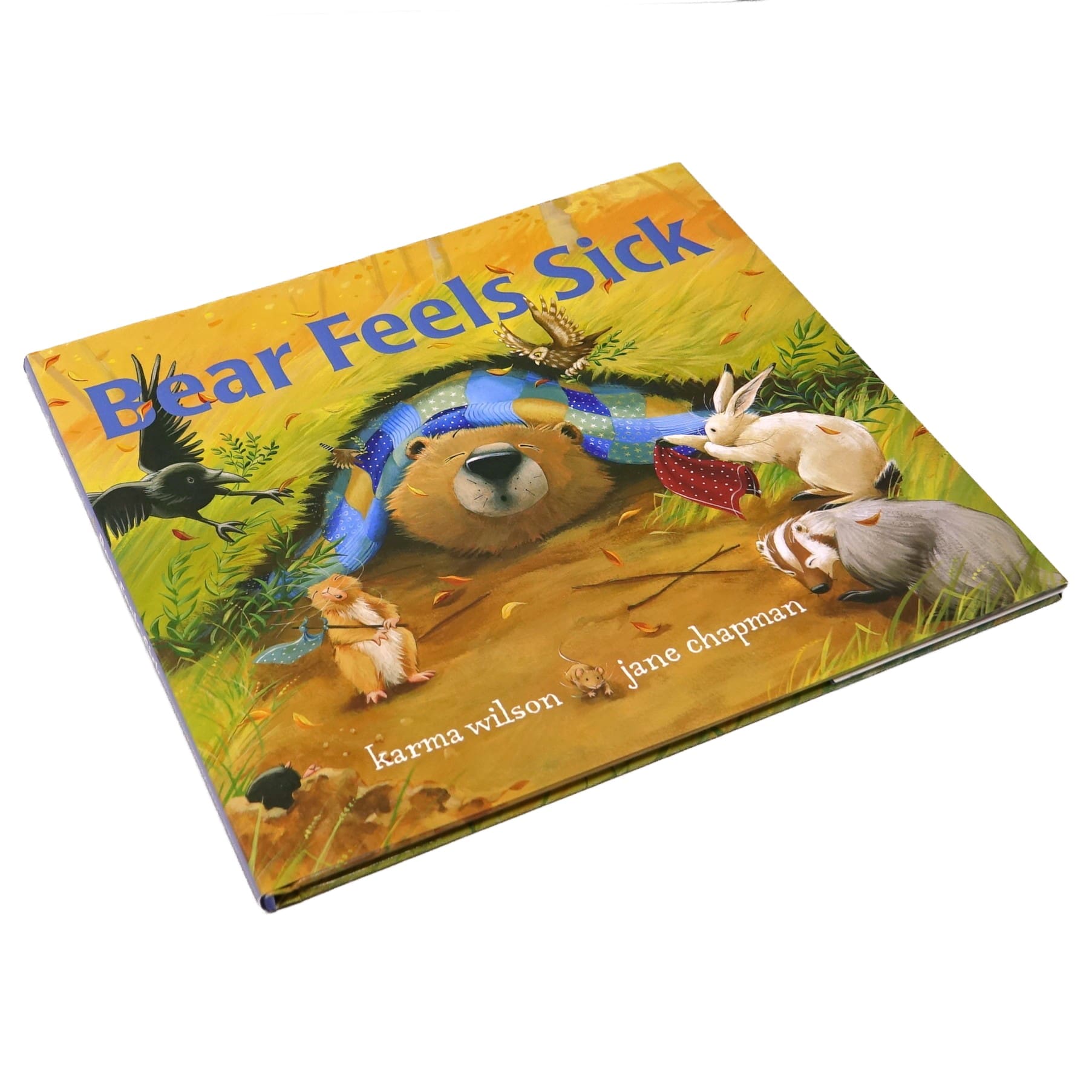 Bear Feels Sick