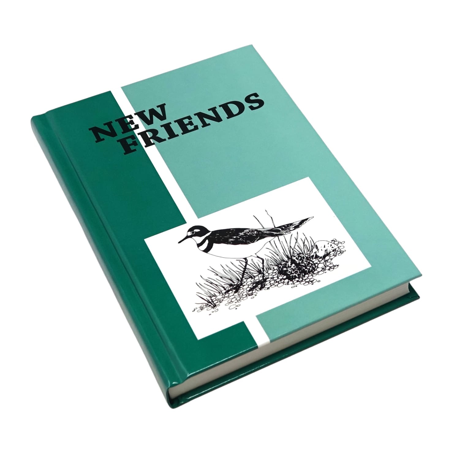 New Friends - Reader