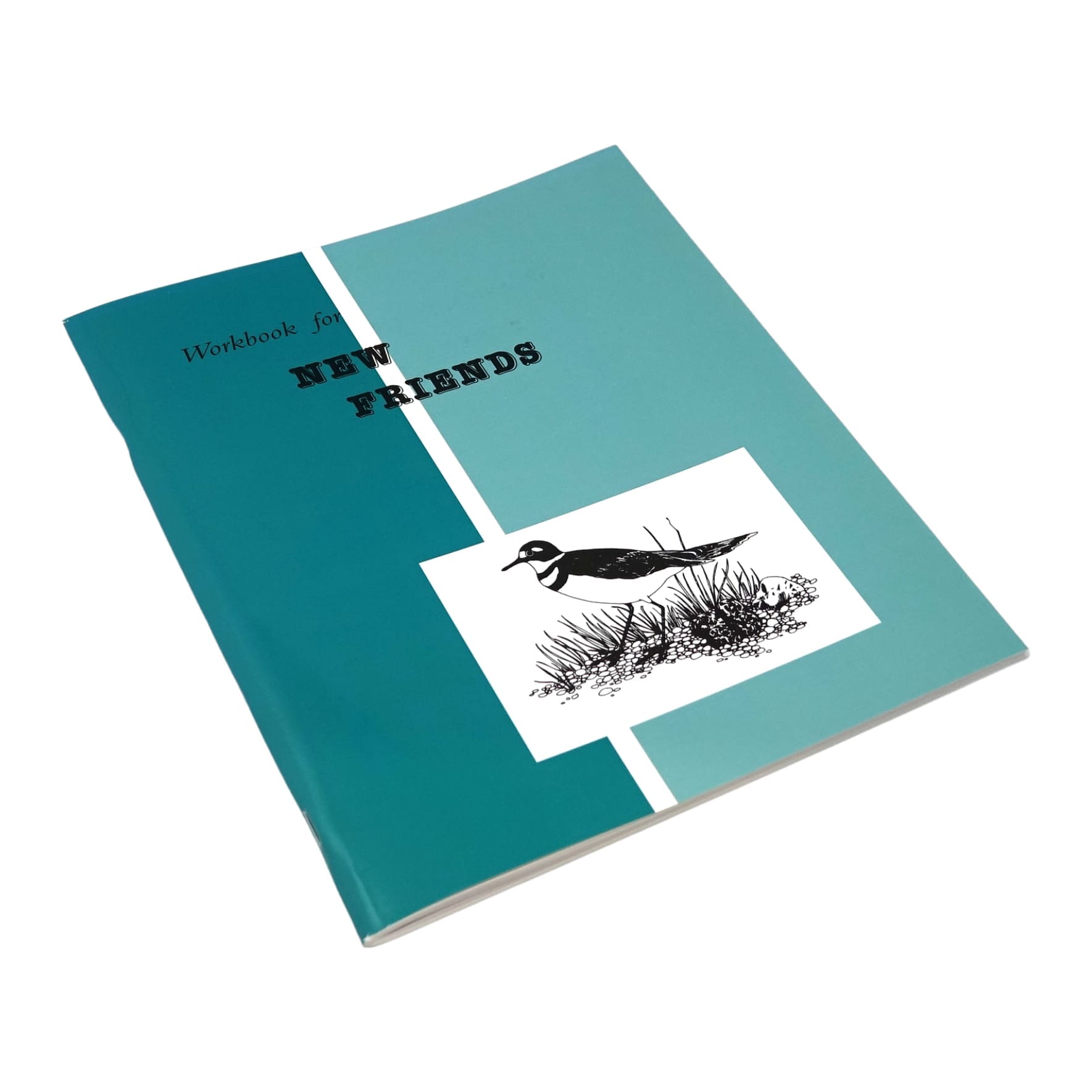 New Friends - Workbook