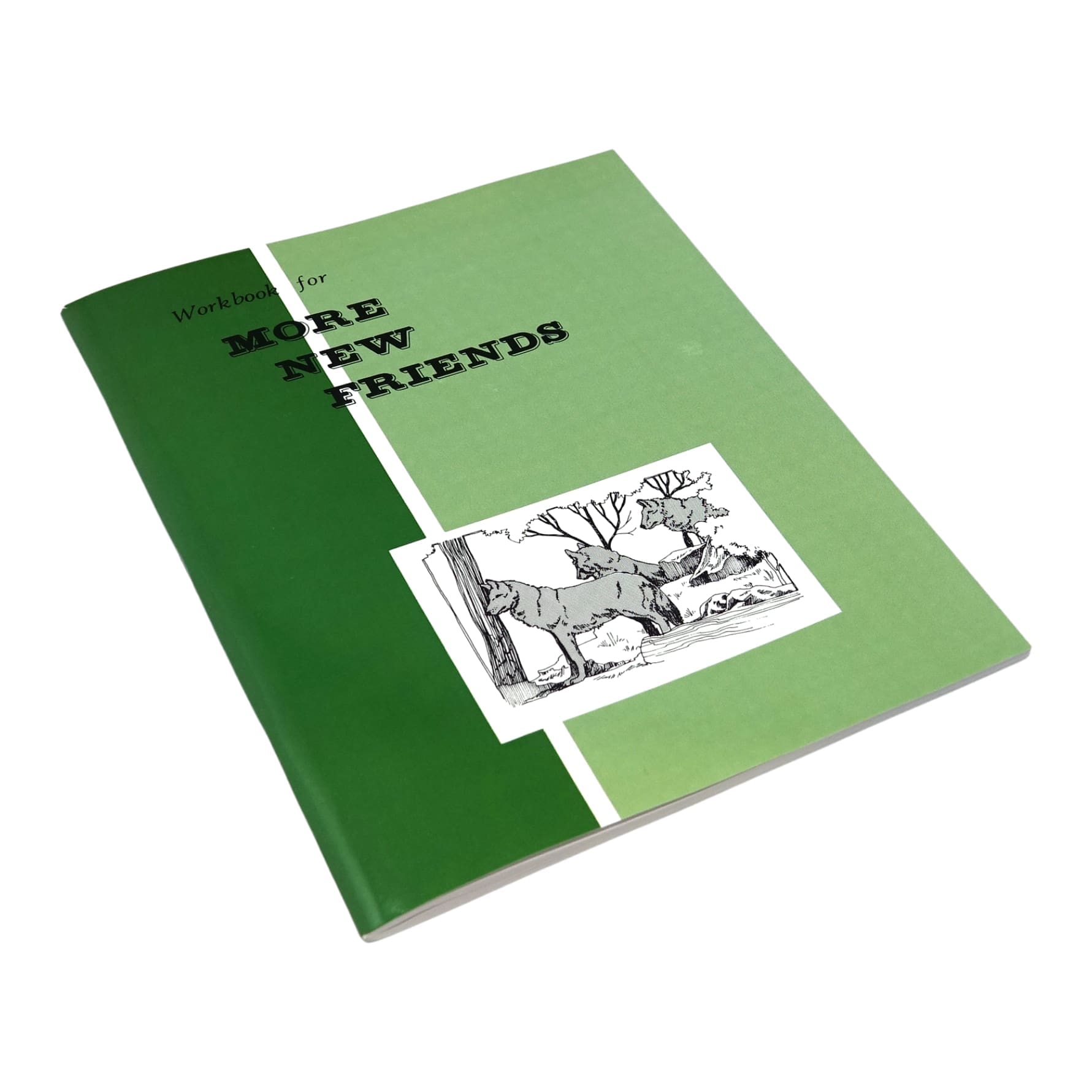 More New Friends - Workbook