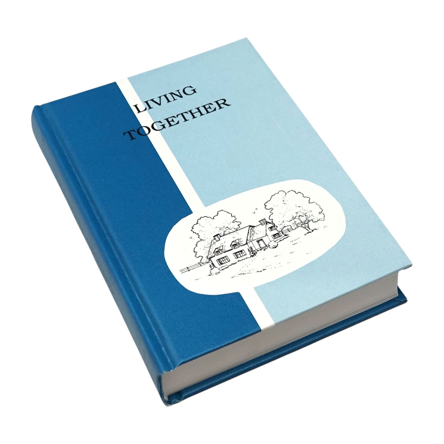 Living Together - Reader