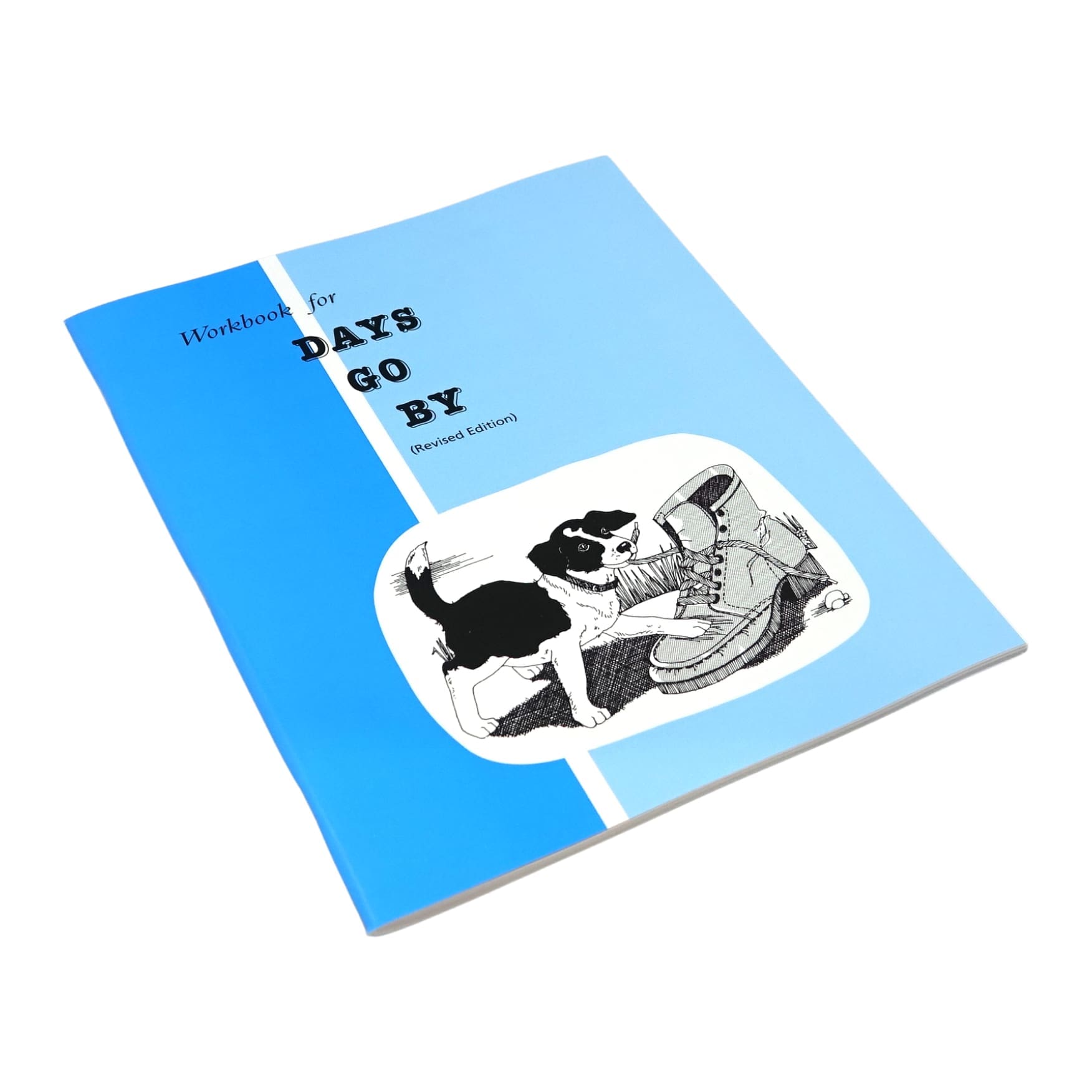 Days Go By - Workbook